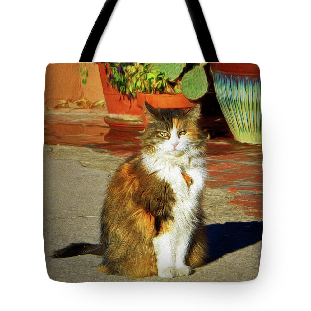 Cat Tote Bag featuring the photograph Old Town Cat by Nikolyn McDonald