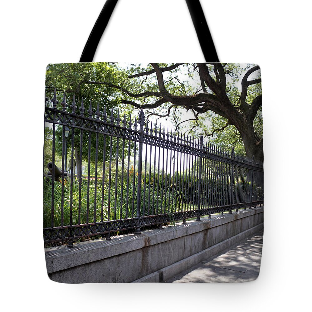 Landscape Tote Bag featuring the photograph Old Tree and Ornate Fence by Todd Blanchard