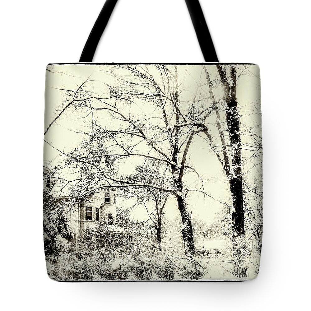 Winter Tote Bag featuring the photograph Old Victorian in Winter by Julie Palencia