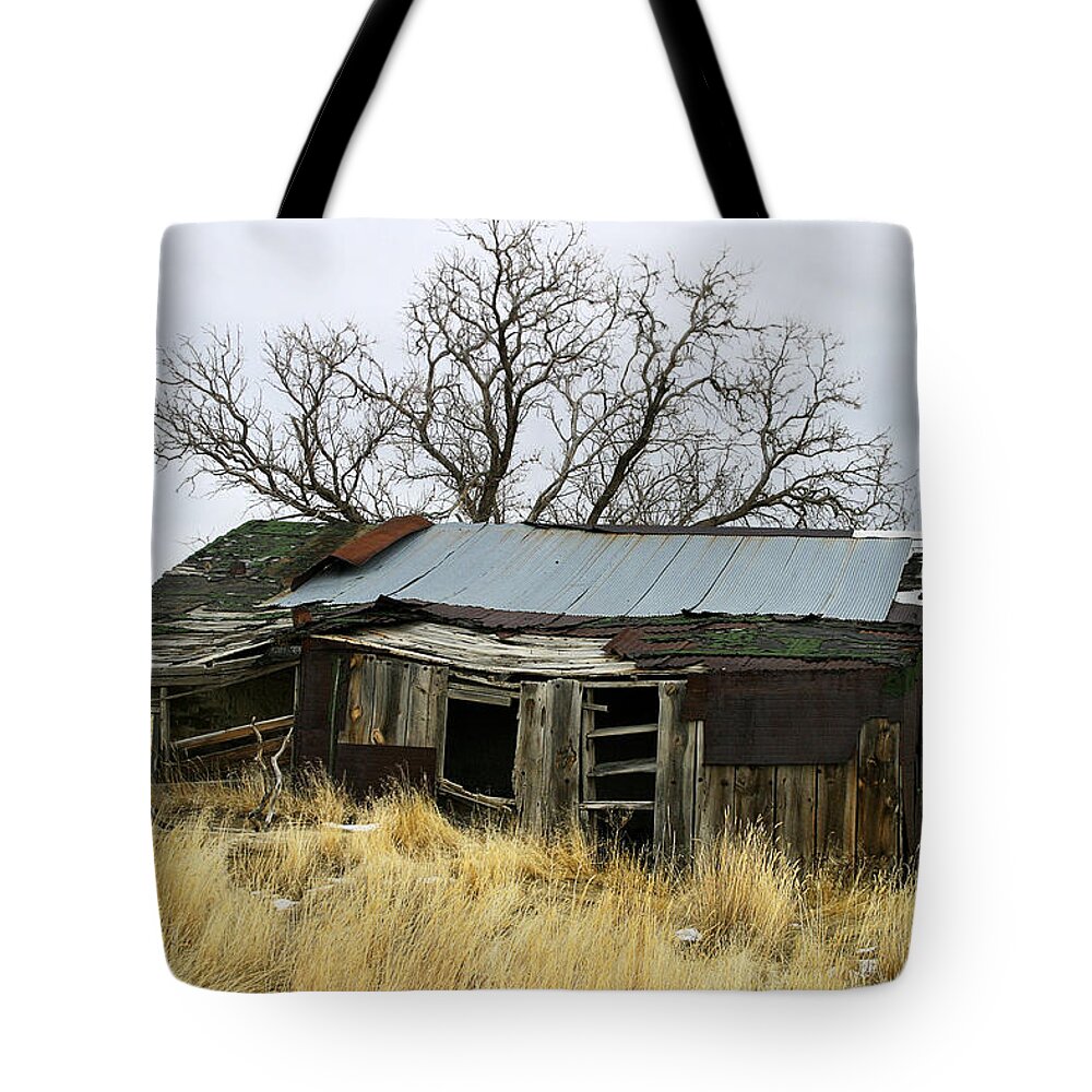 Wyoming Tote Bag featuring the photograph Old Wyoming Farmhouse by Anthony Jones