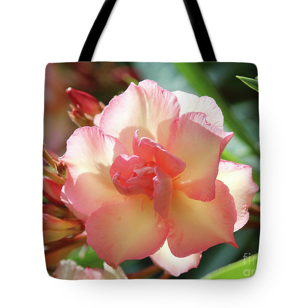 Oleander Tote Bag featuring the photograph Oleander Mrs. Roeding 1 by Wilhelm Hufnagl