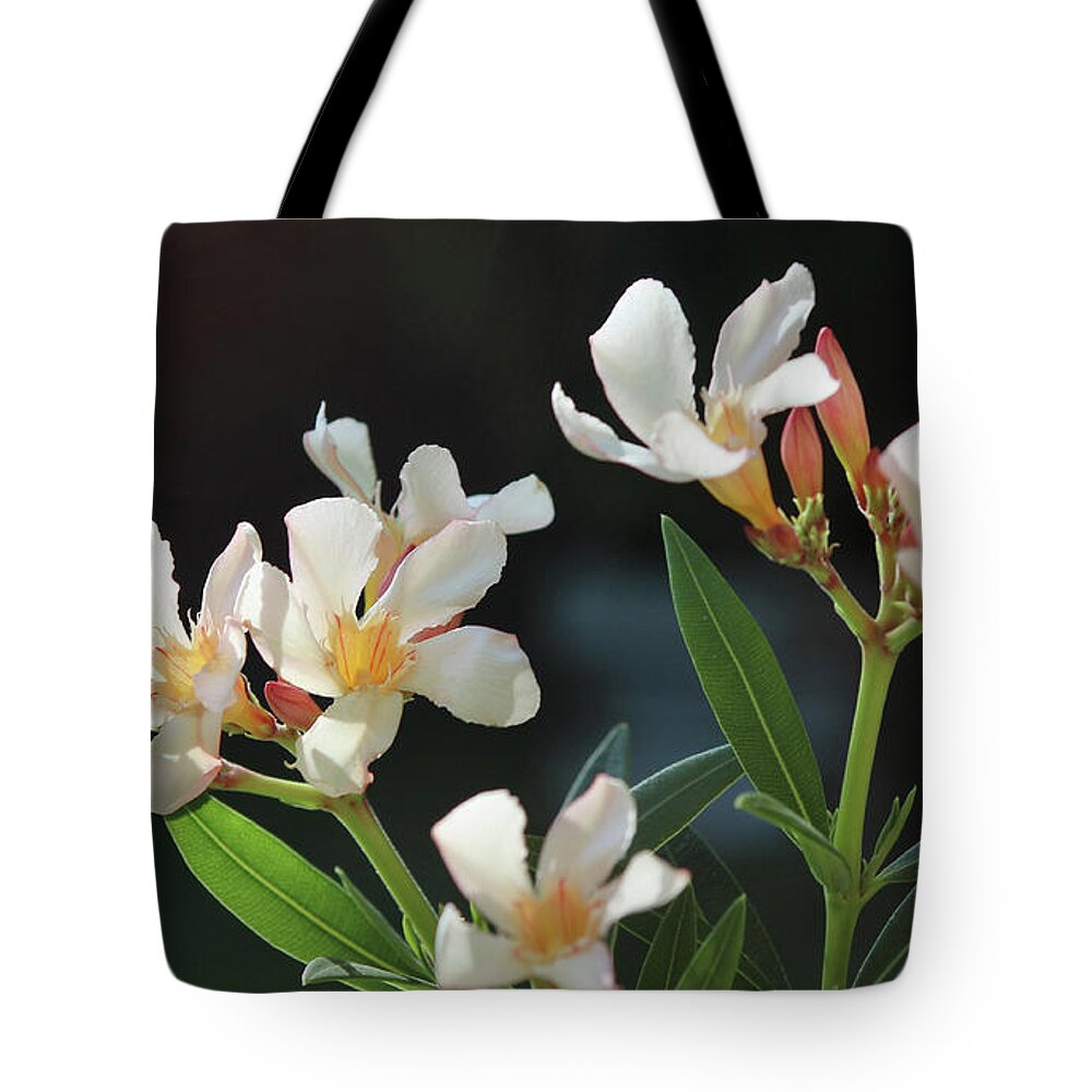 Oleander Tote Bag featuring the photograph Oleander Petite Salmon 2 by Wilhelm Hufnagl