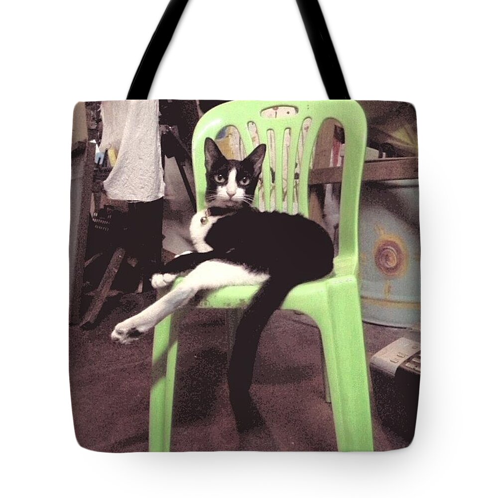 Cat Tote Bag featuring the photograph On A Chair by Sukalya Chearanantana