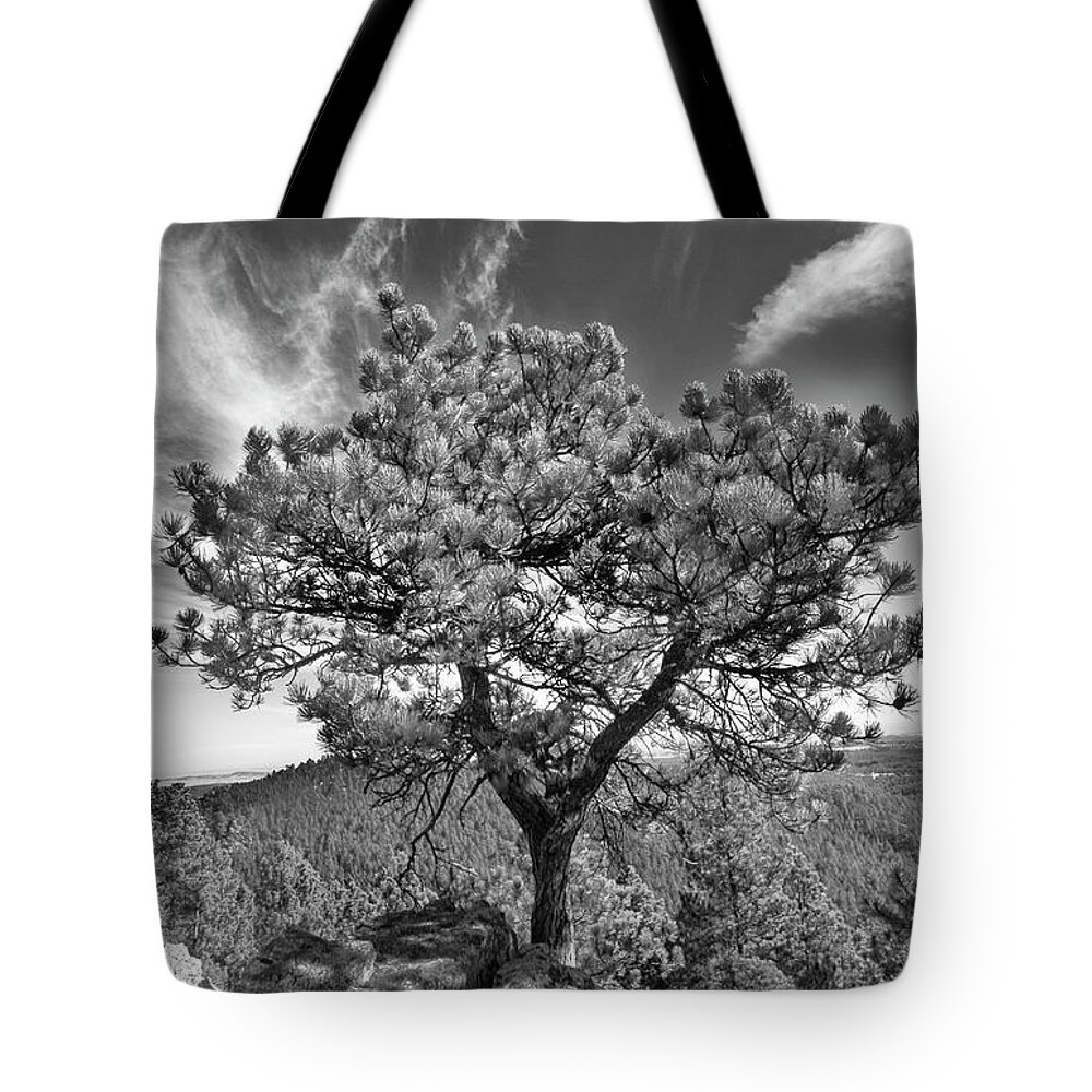 A Lone Tree Sitting On A Cliff In The Black Hills. Tote Bag featuring the photograph On a Ledge by Steve Triplett