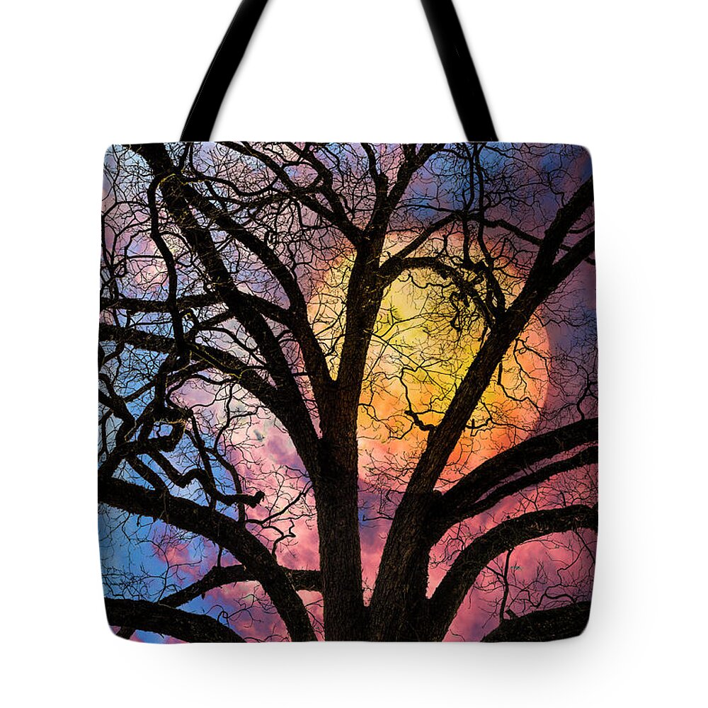 Appalachia Tote Bag featuring the photograph On a Moonlit Night by Debra and Dave Vanderlaan