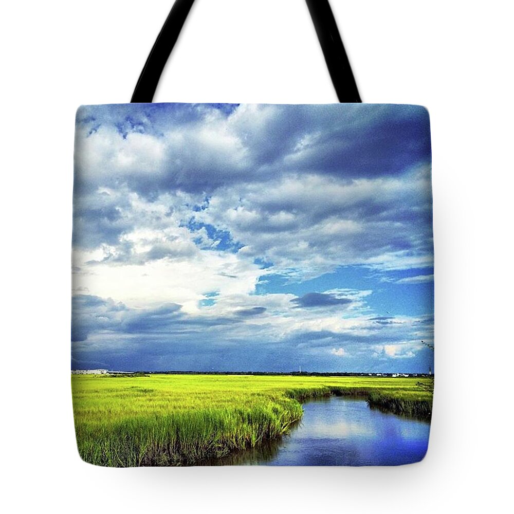 Cassandramichellephotographer Tote Bag featuring the photograph On A Picnic For My Daughter's by Cassandra M Photographer