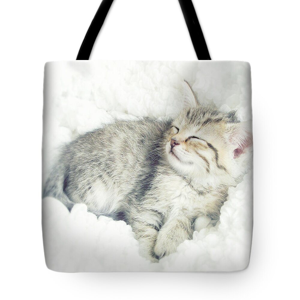 Kitten Tote Bag featuring the photograph On Cloud Nine by Amy Tyler