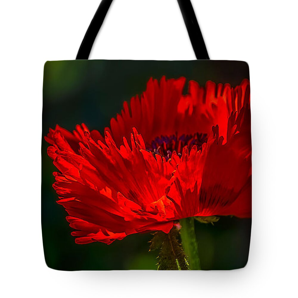 On Fire Tote Bag featuring the photograph On Fire by Julie Palencia