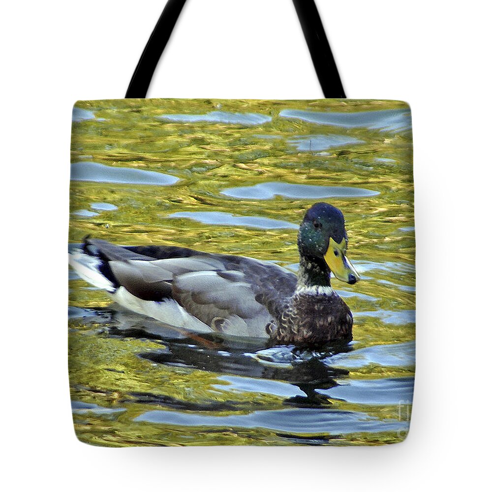 Duck Tote Bag featuring the photograph On Golden Pond by Lydia Holly