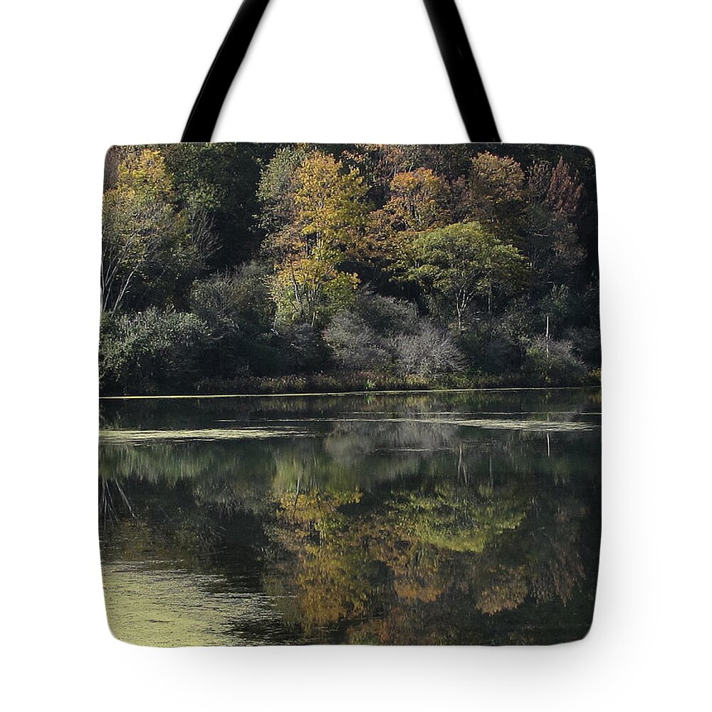 Landscape Tote Bag featuring the photograph On Lethe's Bank by Char Szabo-Perricelli