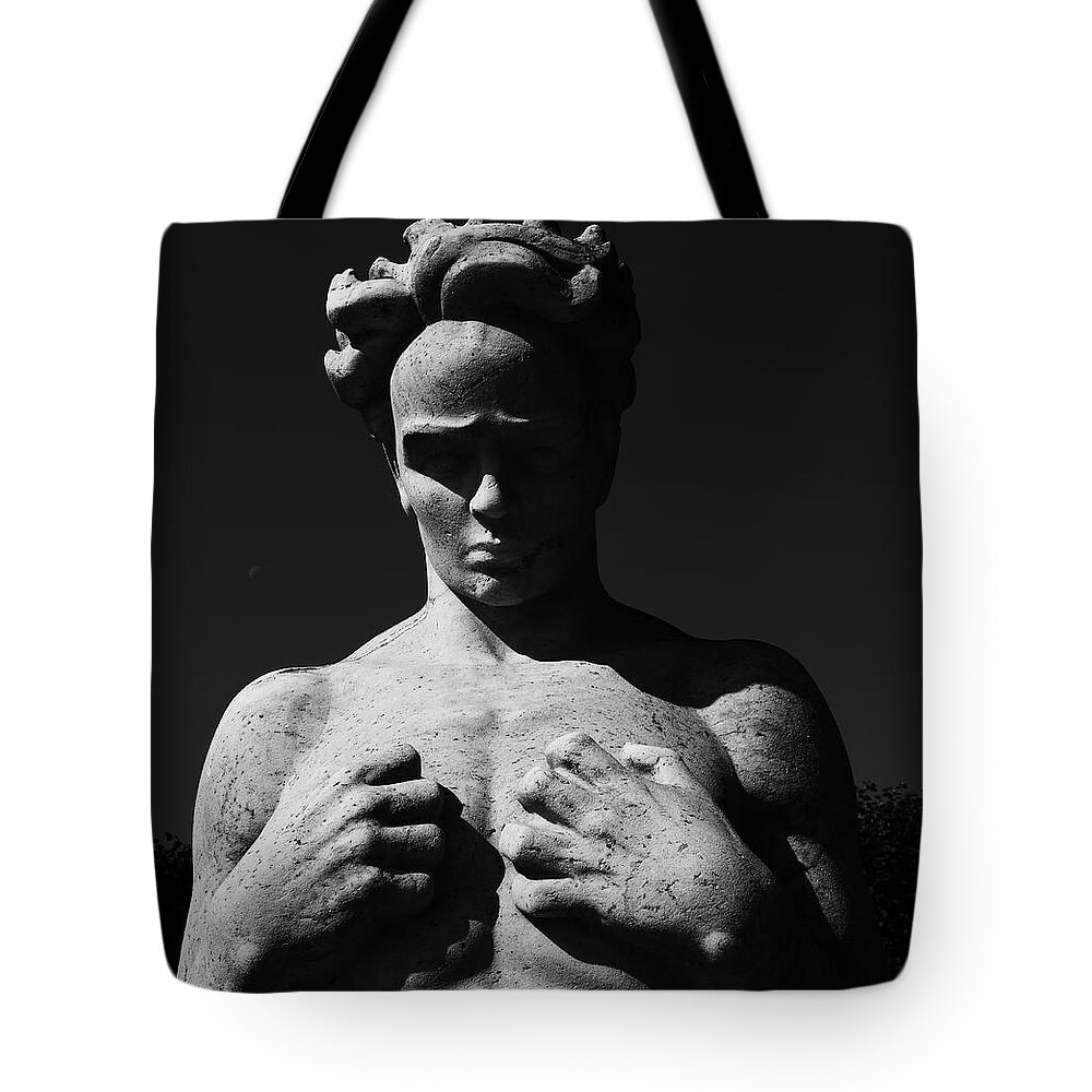 Chest Tote Bags