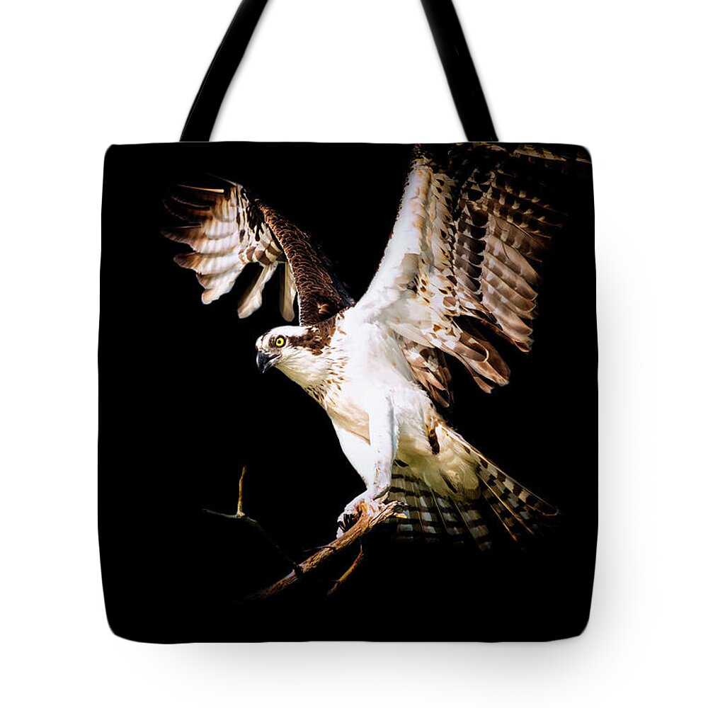 Crystal Yingling Tote Bag featuring the photograph On Point by Ghostwinds Photography