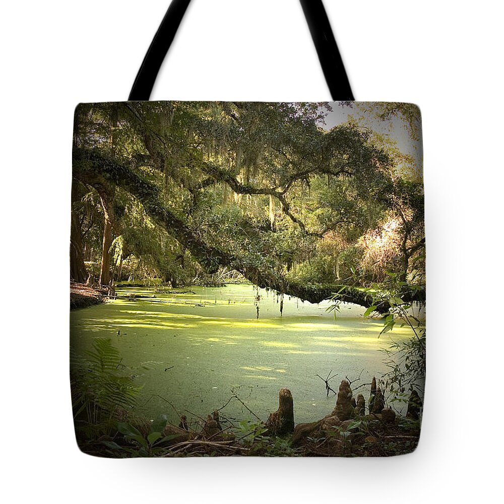 Swamp Tote Bag featuring the photograph On Swamp's Edge by Scott Pellegrin
