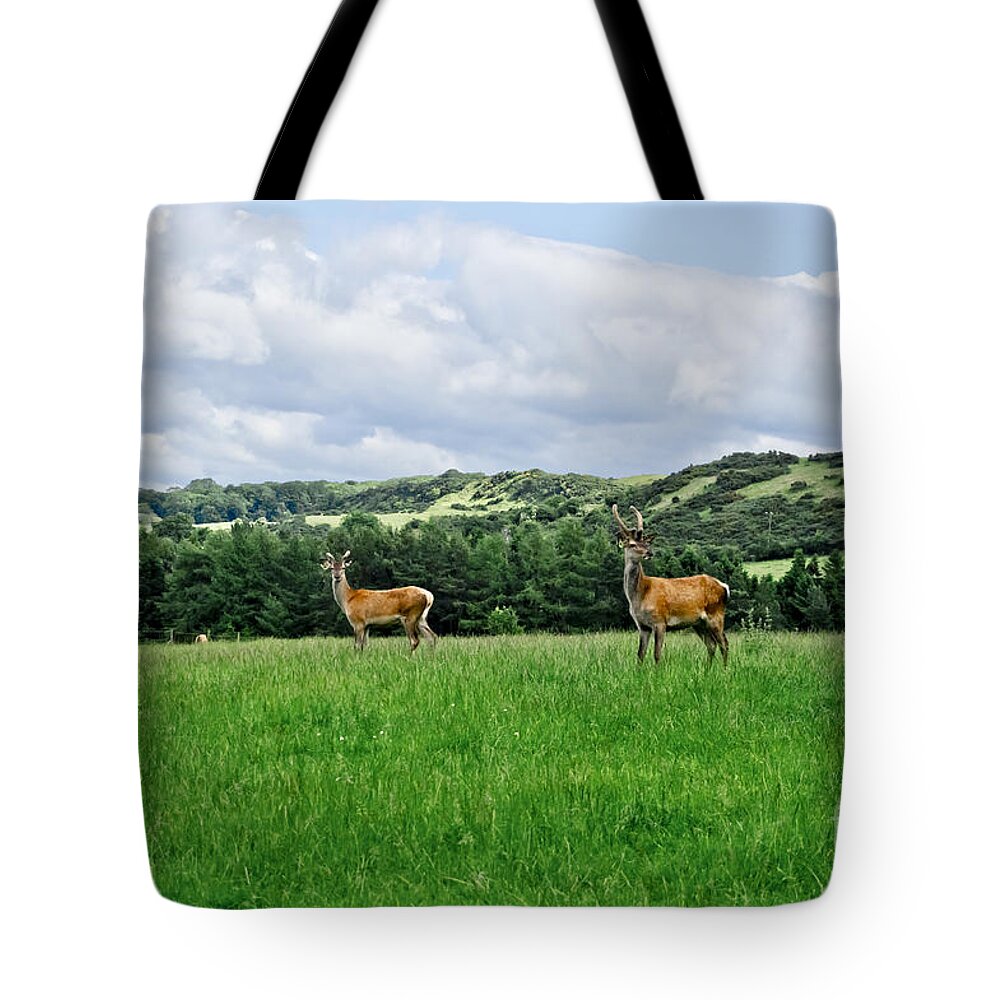 Beecraigs Tote Bag featuring the photograph On the alert. by Elena Perelman