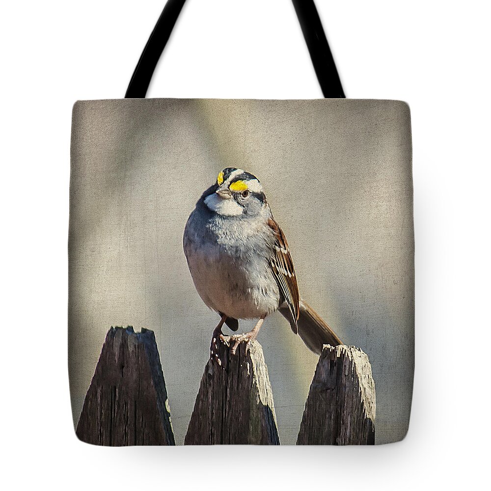 Sparrow Tote Bag featuring the photograph On The Fence by Cathy Kovarik