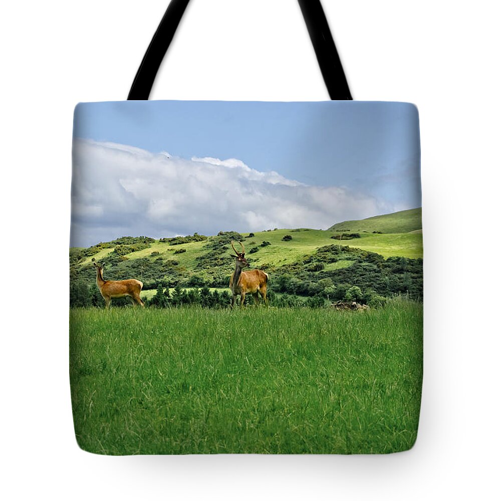 Beecraigs Tote Bag featuring the photograph On the look-out. by Elena Perelman