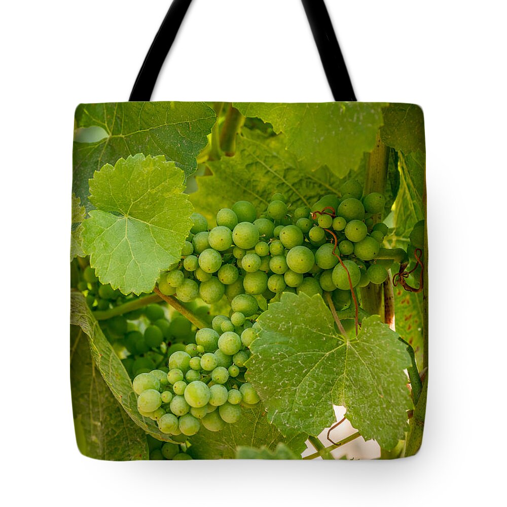 Grapes Tote Bag featuring the photograph On the Vine by Derek Dean