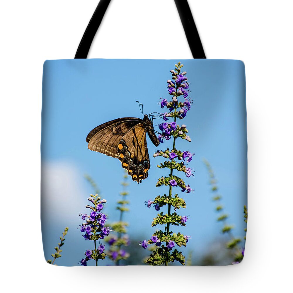 Nature Tote Bag featuring the photograph On Tiptoes by Rebecca Higgins