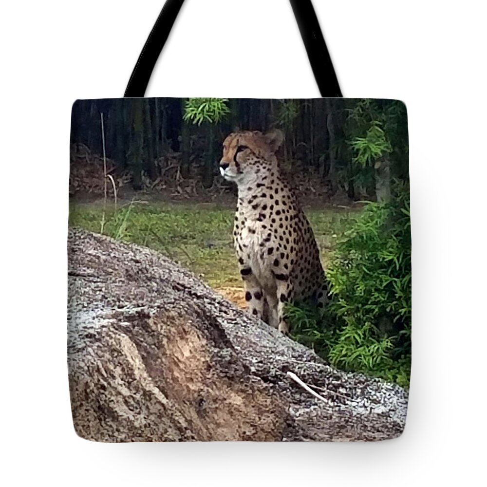 Wildlife Tote Bag featuring the photograph On Watch by Rick Redman