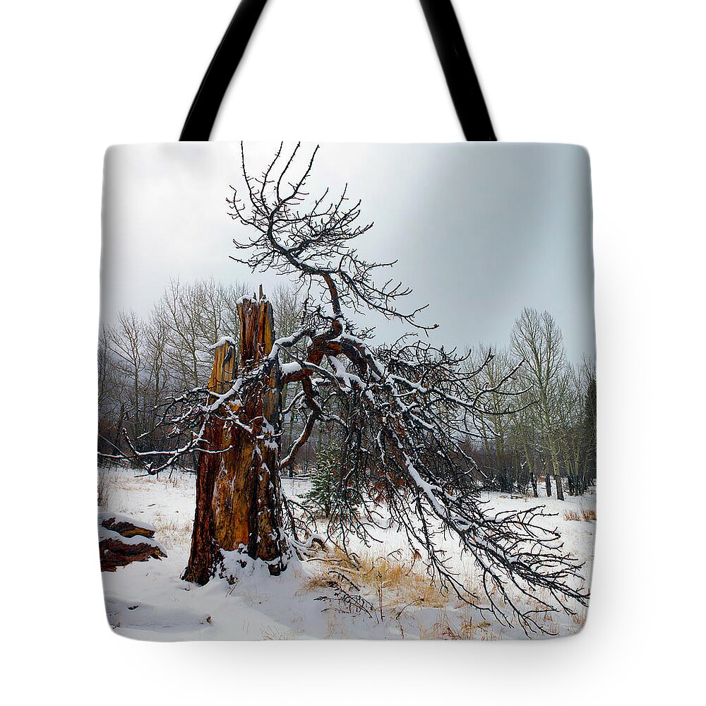 Tree Tote Bag featuring the photograph One Branch Left by Shane Bechler