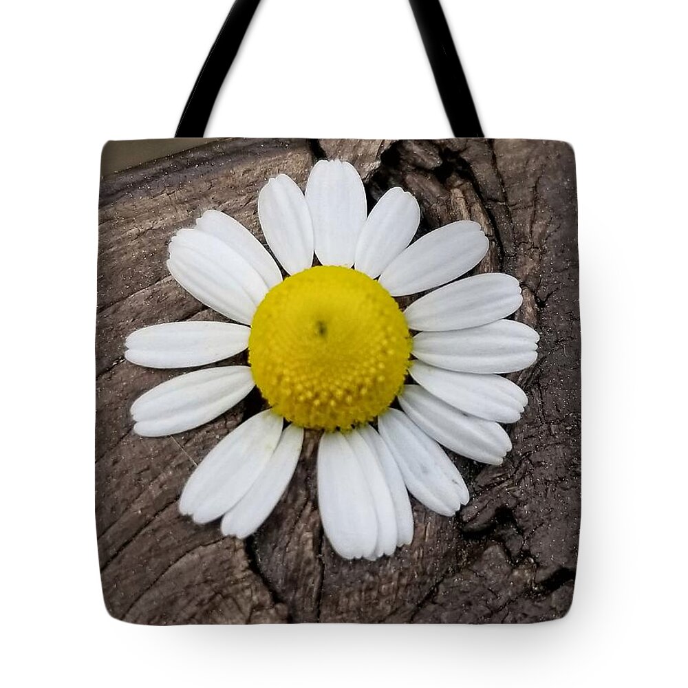 One Chamomile Bloom Tote Bag by Rachel Hannah - Pixels