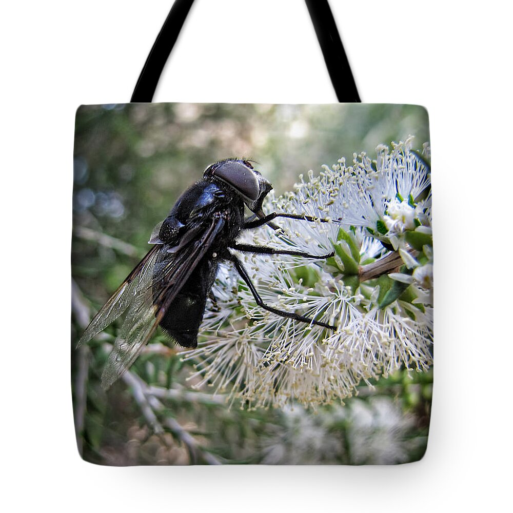 Fly Tote Bag featuring the photograph One Damn BIG Fly by Helaine Cummins