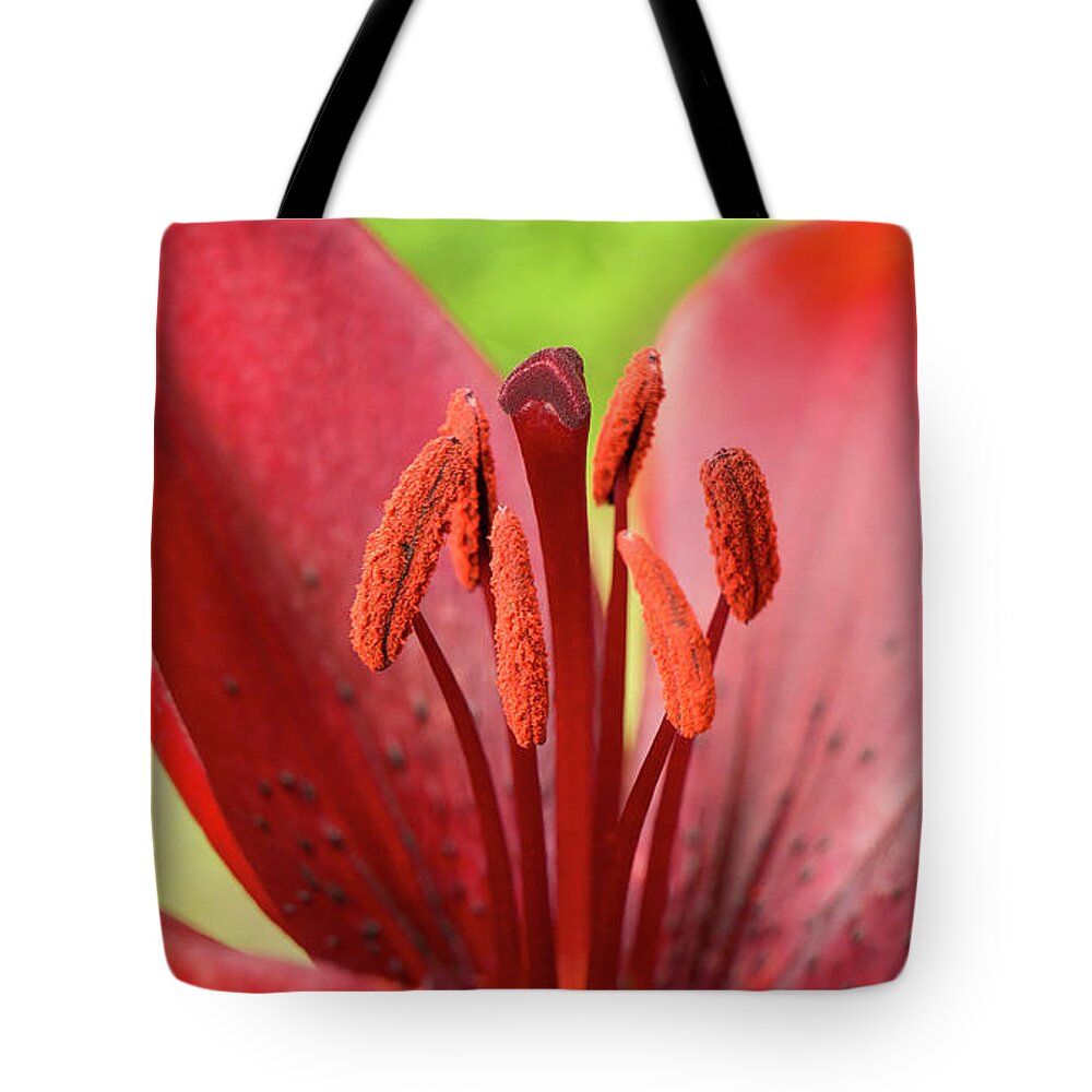 Red Tote Bag featuring the photograph One flower wish for prosperity. by Elena Perelman
