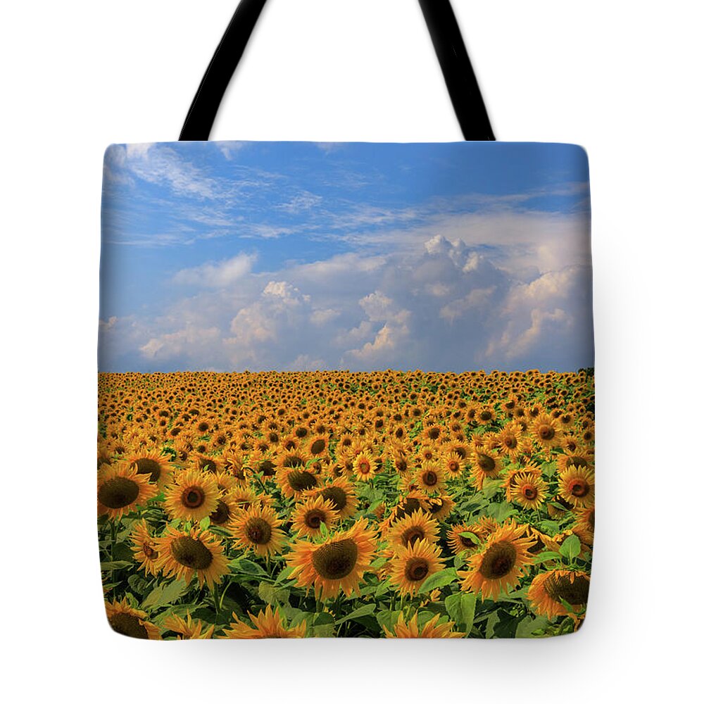 Personality Tote Bag featuring the photograph One in a Million by Rob Davies
