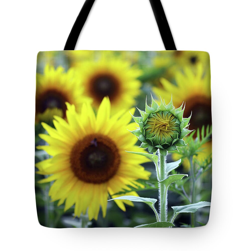 One Lonely Bud Tote Bag featuring the photograph One Lonely Bud by Jennifer Robin