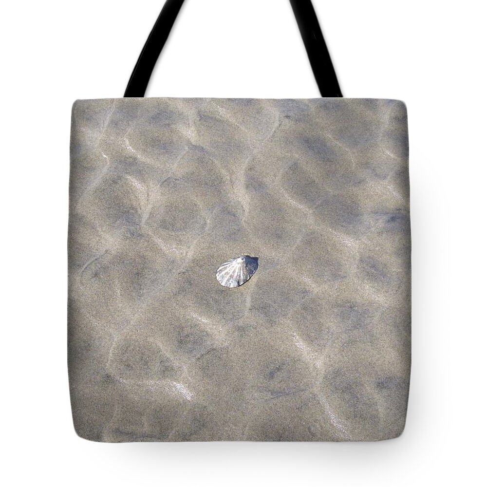 Shells Tote Bag featuring the photograph One Lonely Shell by Gallery Of Hope 
