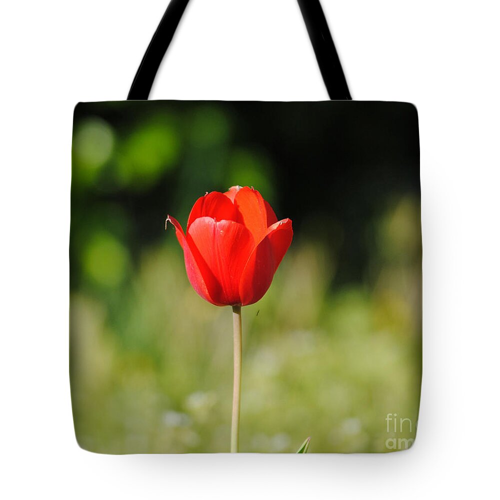 Tulip Tote Bag featuring the photograph One of a Kind by Jai Johnson