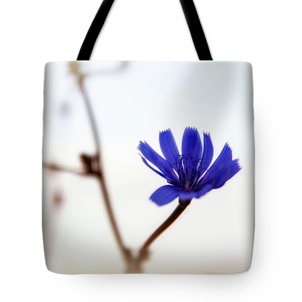 Abstract Tote Bag featuring the photograph One by Plamen Petkov