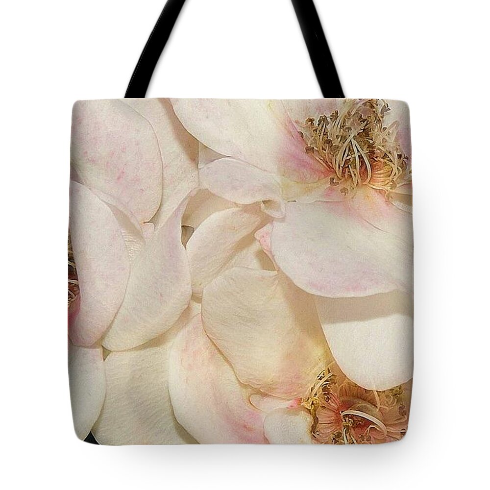 Flowers Tote Bag featuring the photograph One Small Visitor by Reb Frost
