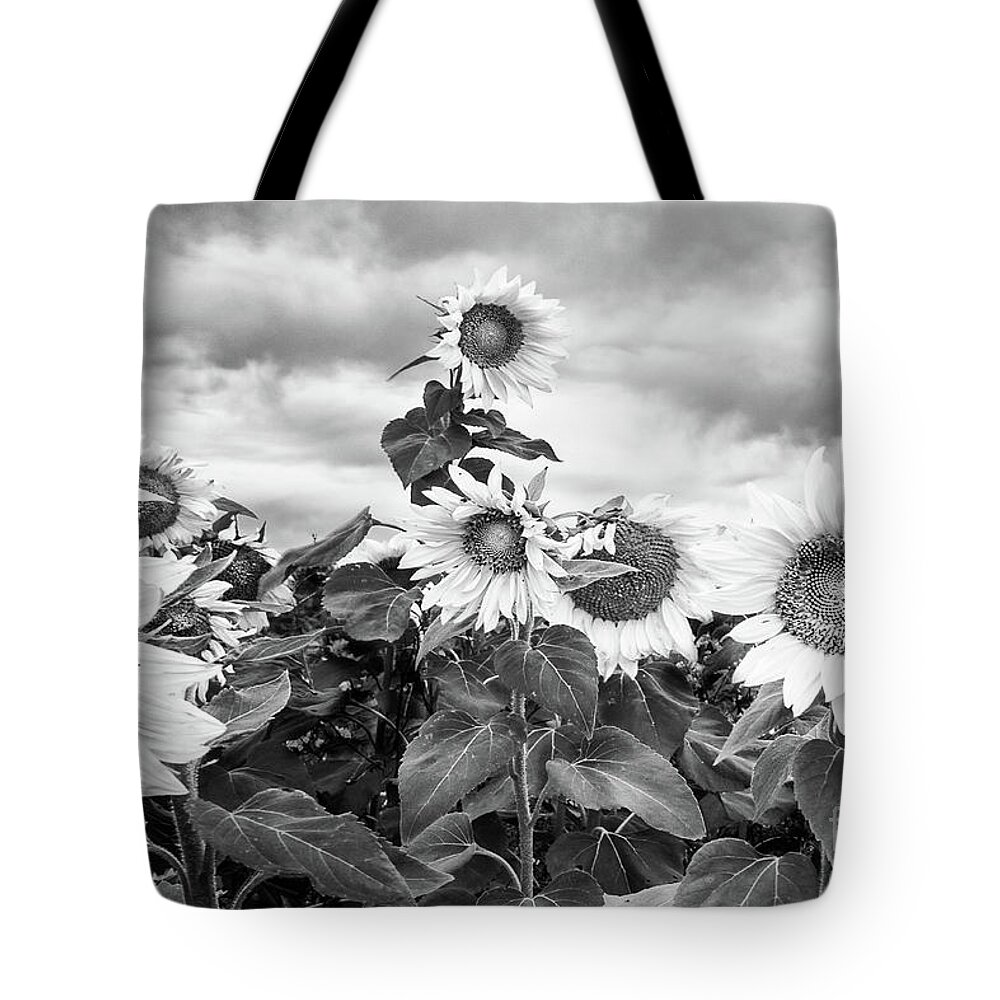 Landscape Tote Bag featuring the photograph One Stands Tall by Jim Rossol
