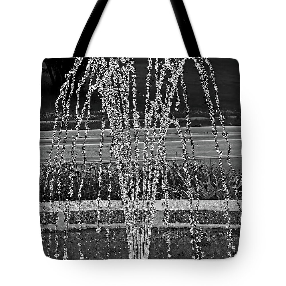 Lauren Radke Tote Bag featuring the photograph One Thousandth Of A Second by Lauren Radke