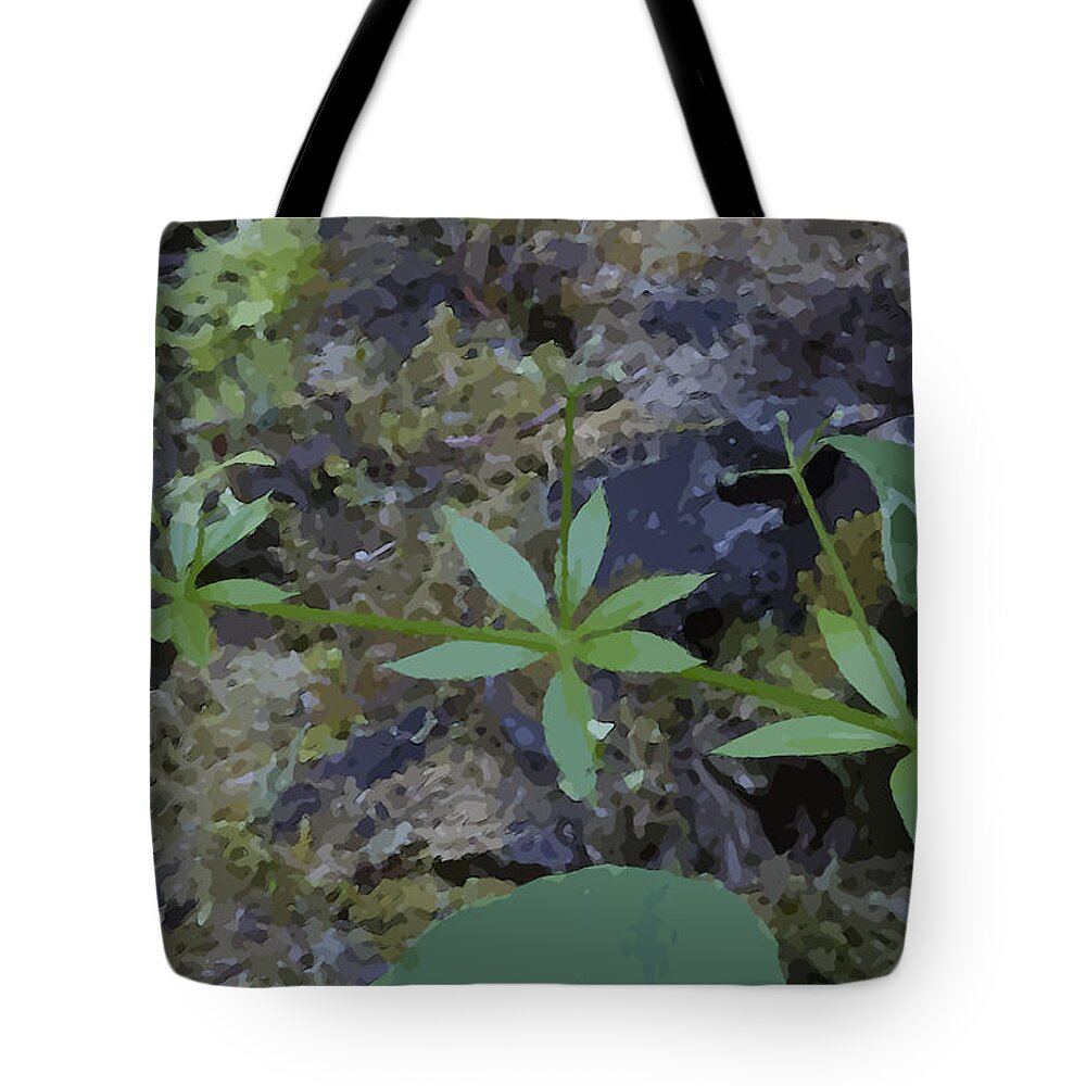 Leaf Tote Bag featuring the photograph One, Two, Three by Sandra Foster