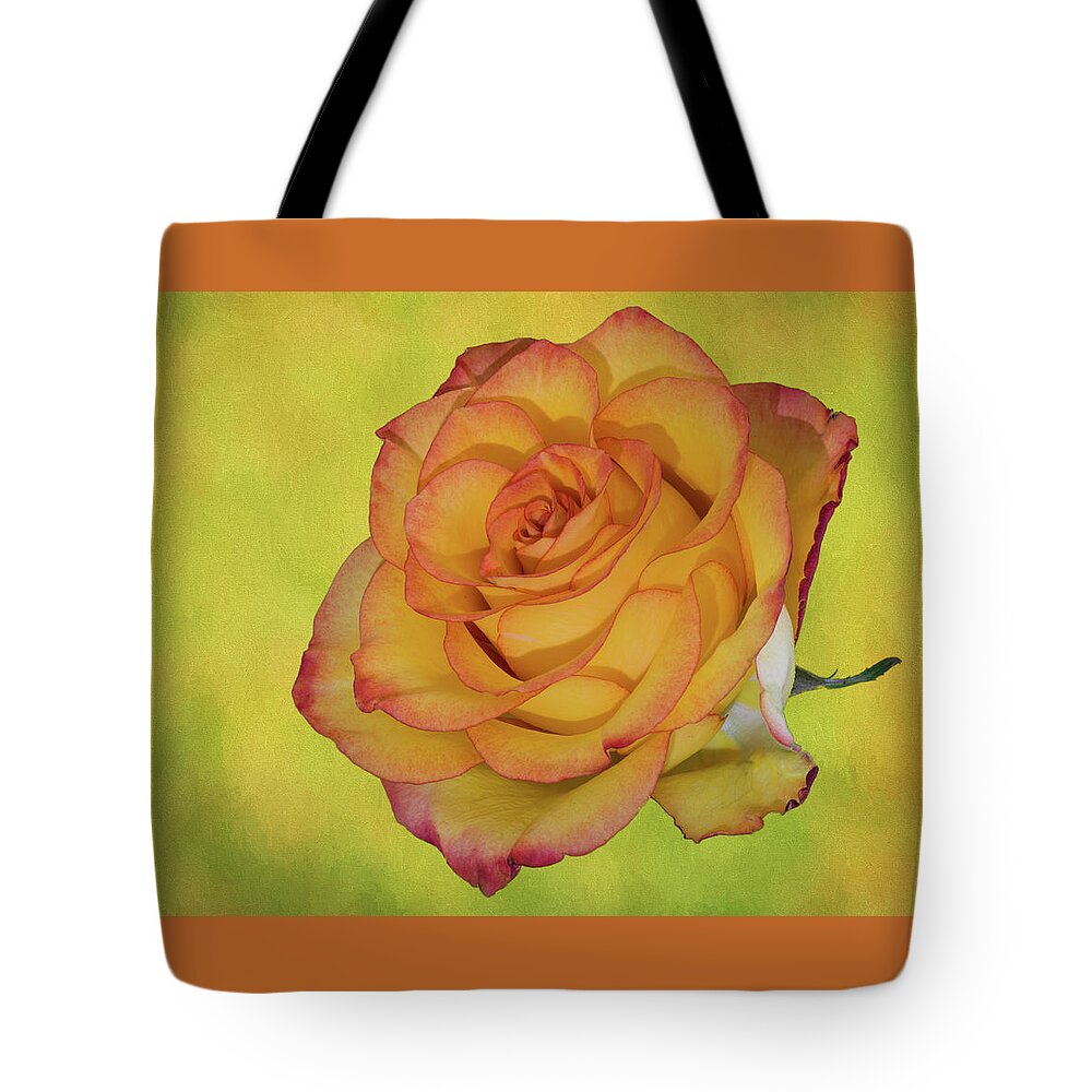 Detailed Rose Tote Bag featuring the photograph Only a Rose by John Roach