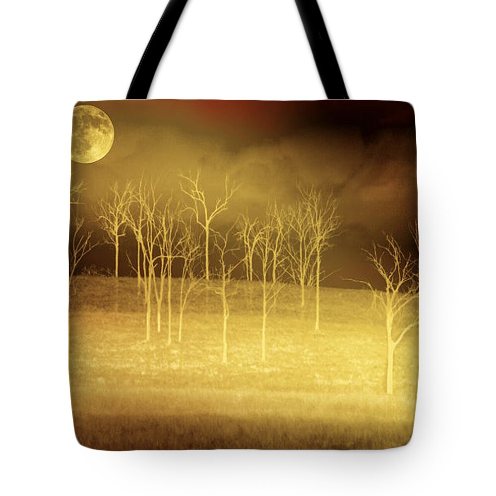 Landscapes Tote Bag featuring the photograph Only at Night by Holly Kempe