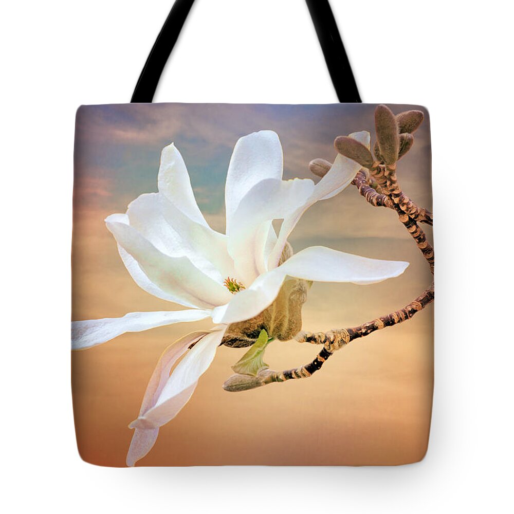Magnolia Tote Bag featuring the photograph Open Magnolia on Texture by Nikolyn McDonald
