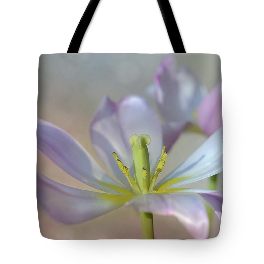 Beautiful Tote Bag featuring the photograph Open Tulip by Ann Bridges
