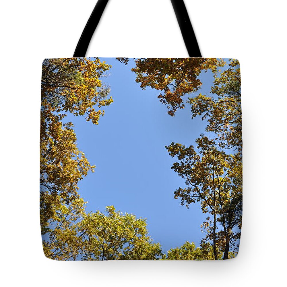 Oaks Tote Bag featuring the photograph Opening by Georgeta Blanaru