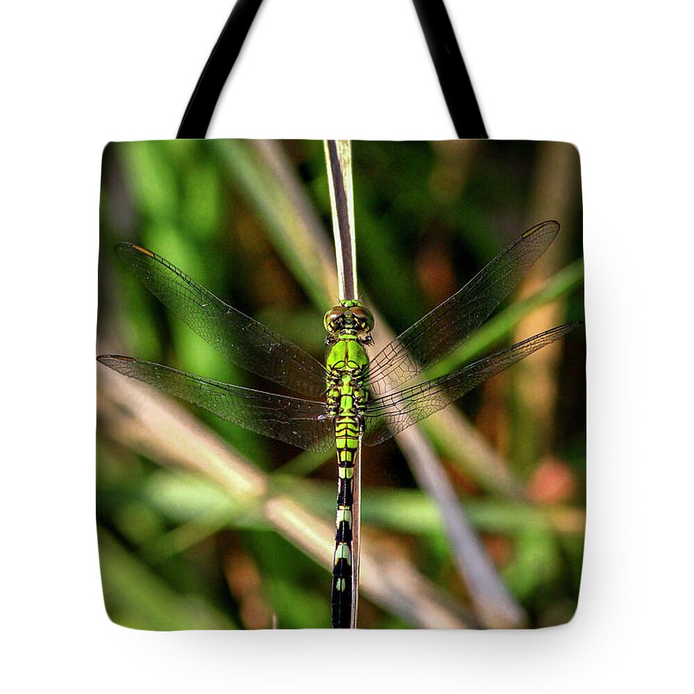 Reid Callaway Green Dragonflies Tote Bag featuring the photograph Openminded Green Dragonfly Art by Reid Callaway