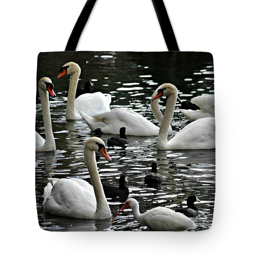 Swans Tote Bag featuring the photograph Opposites Attract by Carolyn Mickulas