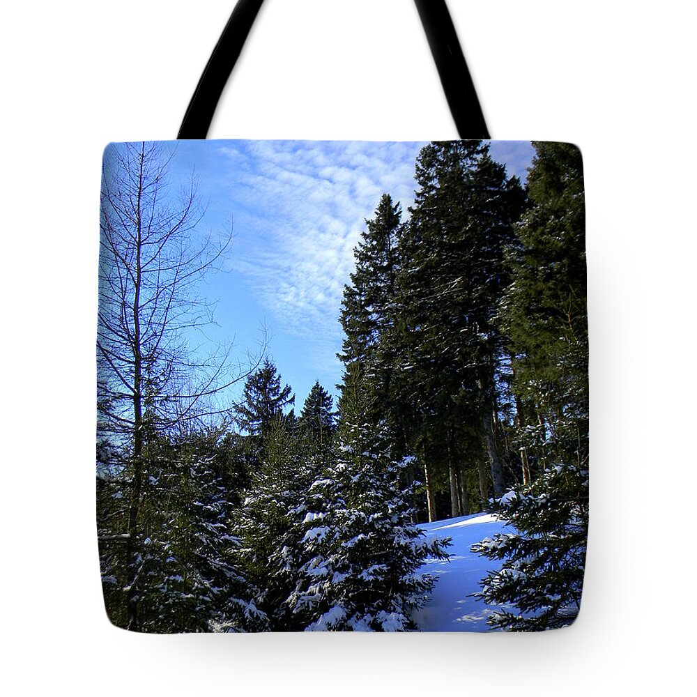 Pine Trees Tote Bag featuring the photograph Optimistic by Elfriede Fulda