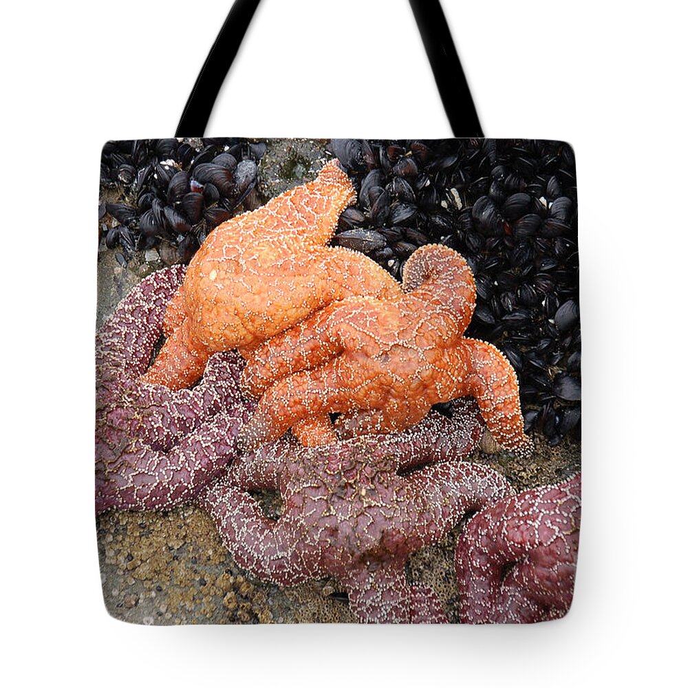 Ruby Beach And Beach 4 Tote Bag featuring the photograph Orange and Purple Starfish by Chuck Flewelling