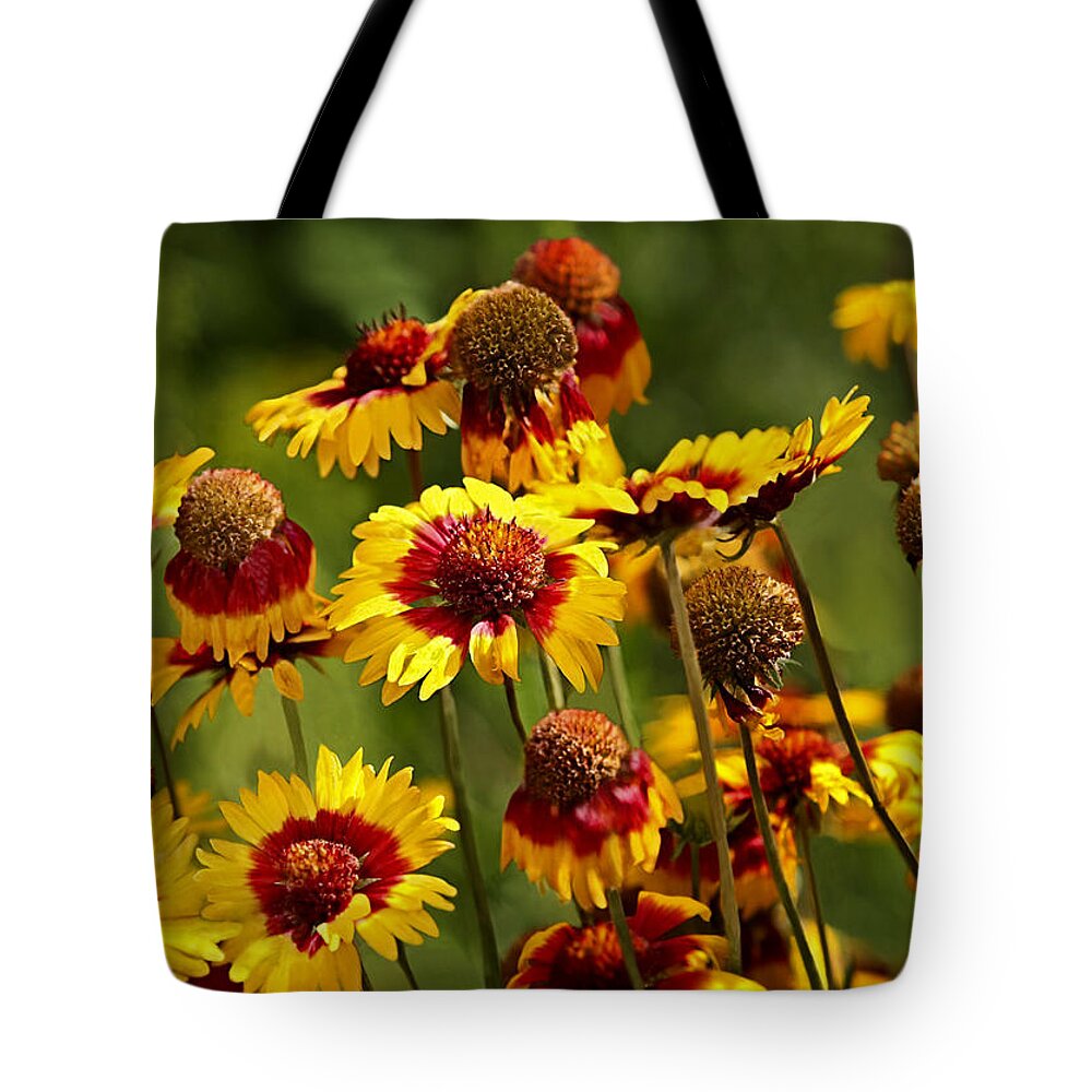 Red Tote Bag featuring the photograph Orange and Red Flowers by C VandenBerg