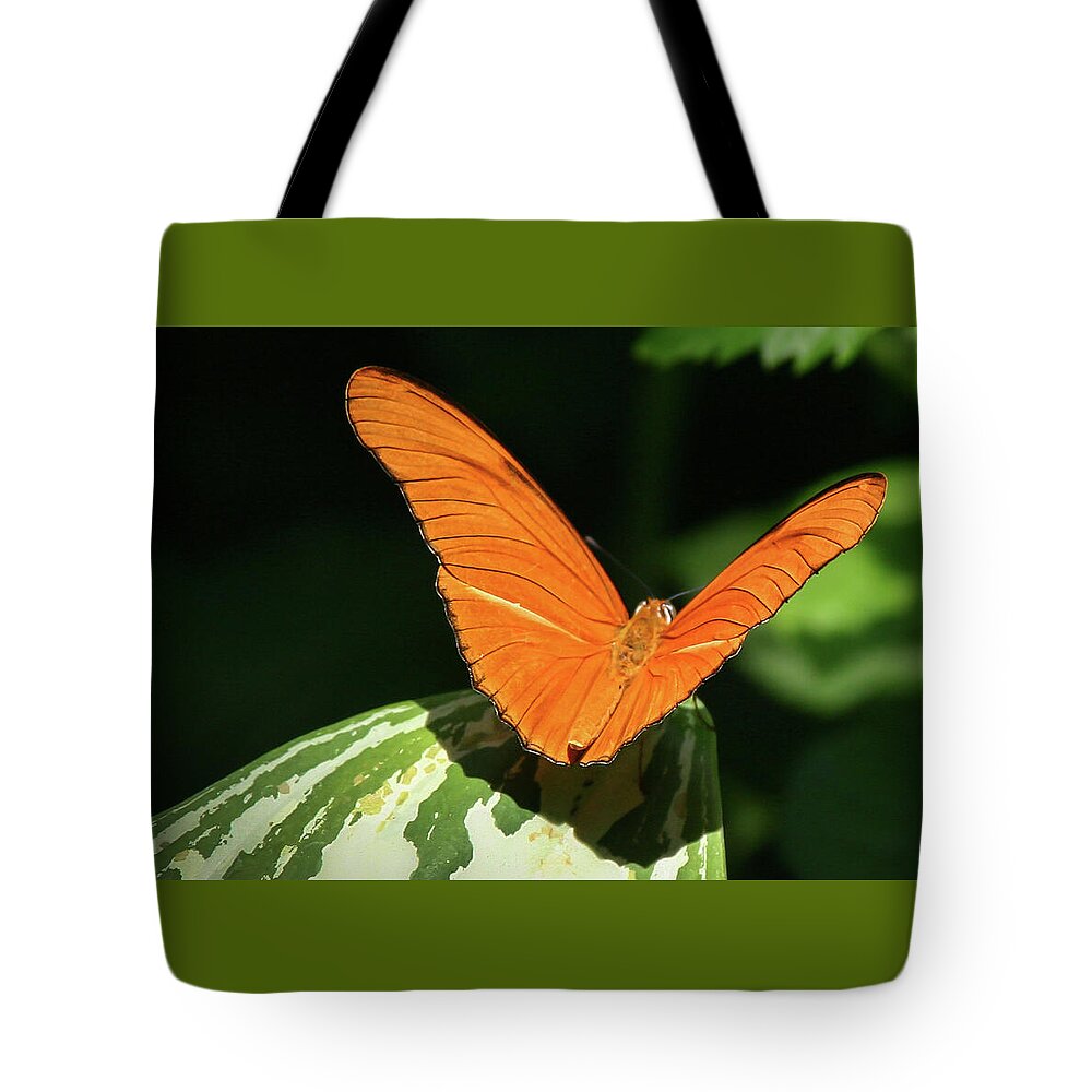 Orange Beauty Tote Bag featuring the photograph Orange Beauty - by Julie Weber