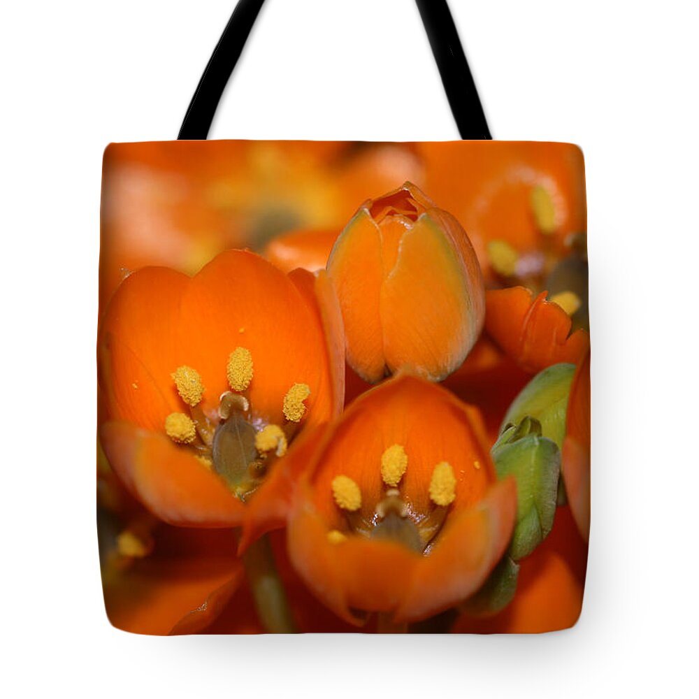 Orange Tote Bag featuring the photograph Orange by Cheryl Day