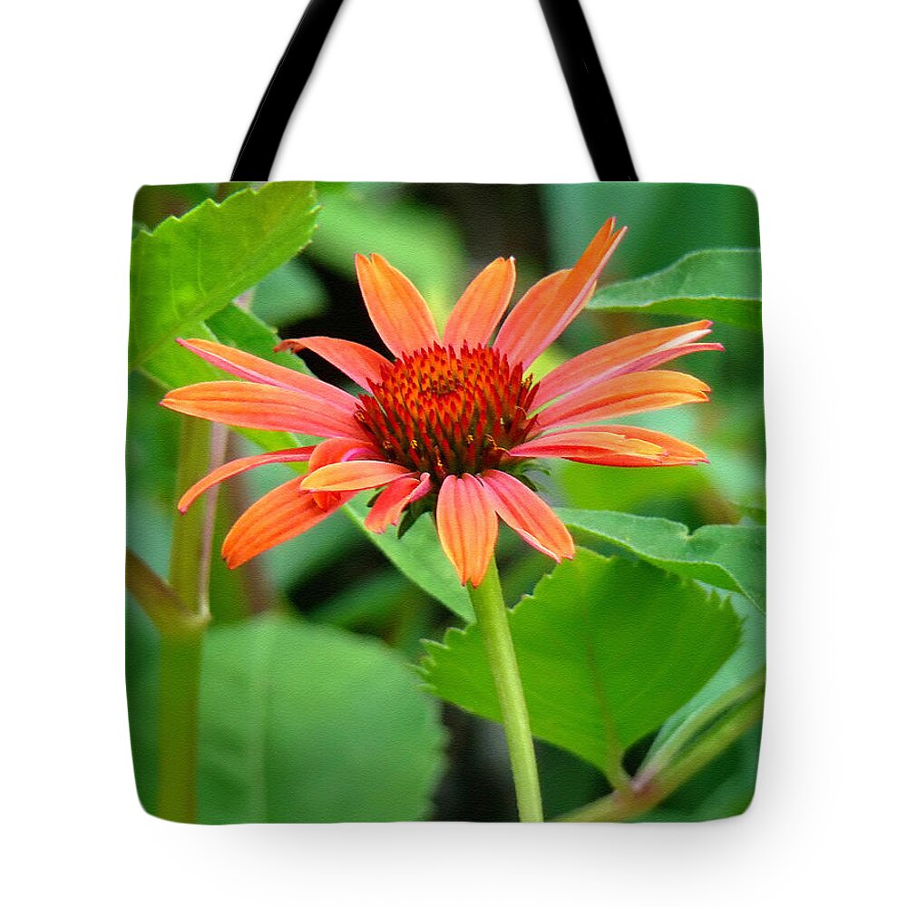 Coneflower Tote Bag featuring the photograph Orange Coneflower by Sue Melvin