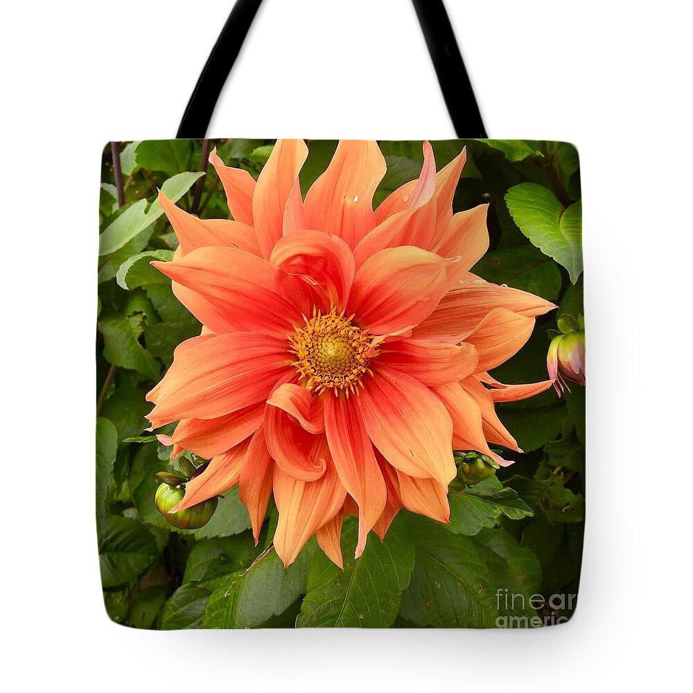 Flower Tote Bag featuring the photograph Orange Delight by Suzanne Lorenz